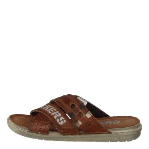 44sb001-187470 Brown