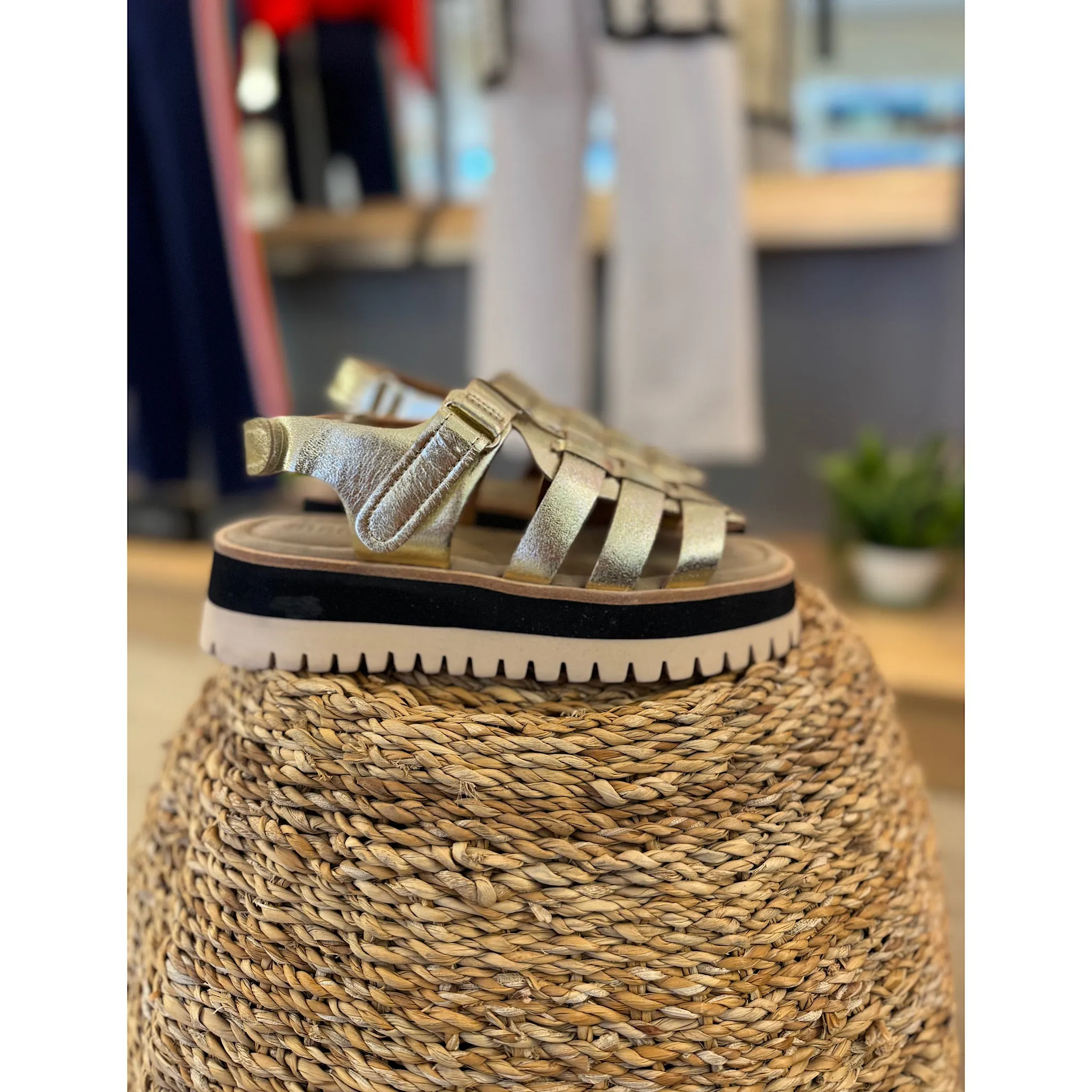 Maruti Logan Sandal
